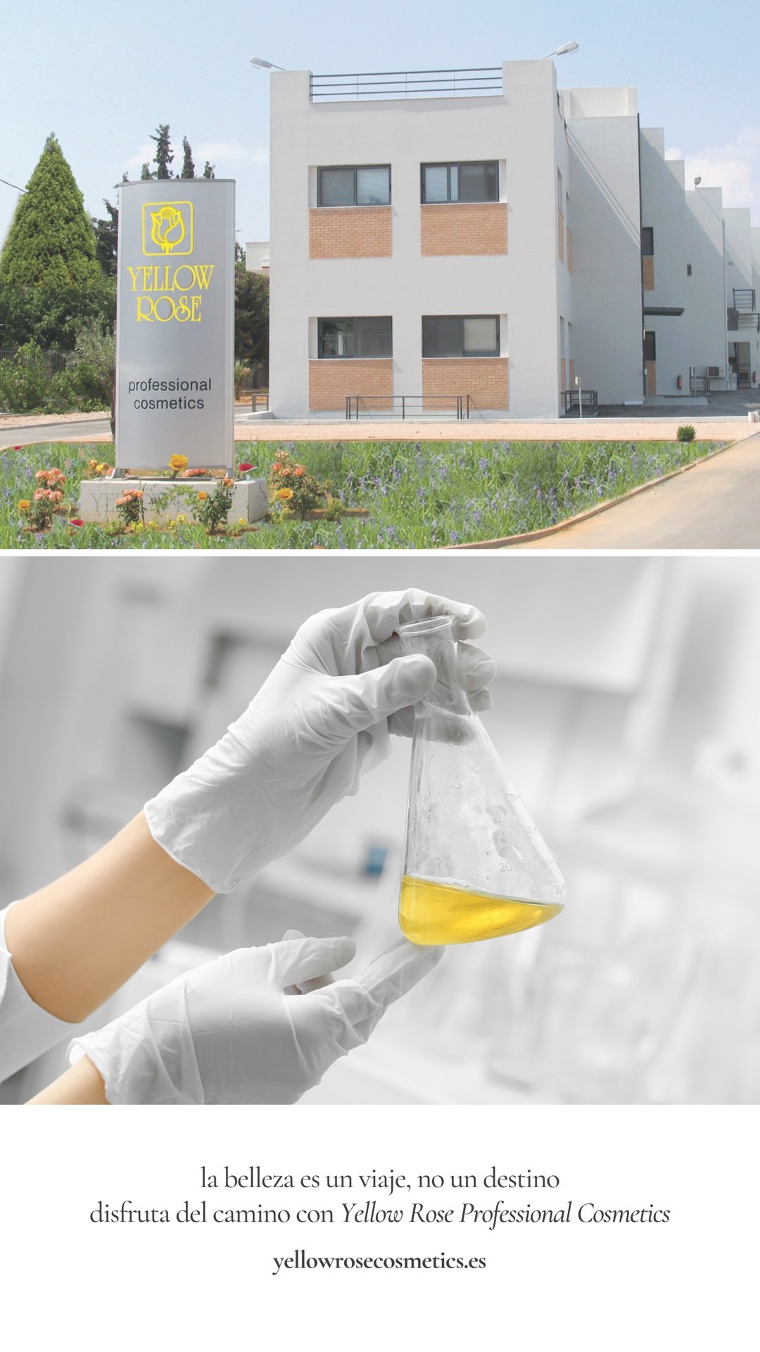 instalaciones y laboratorio de Yellow Rose en Grecia